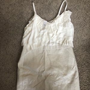 Ann Taylor Loft Dress